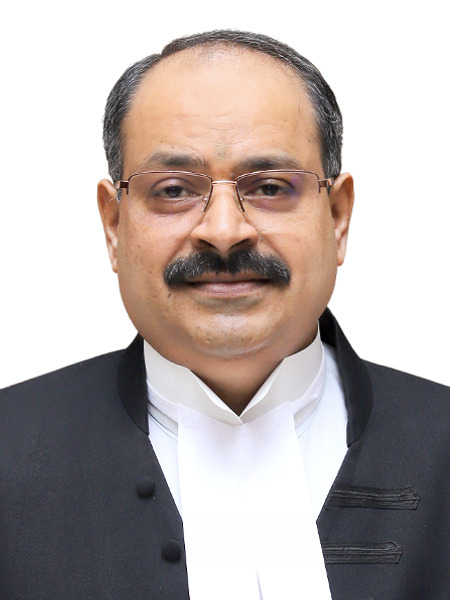 HON'BLE SHRI JUSTICE VISHAL MISHRA photo