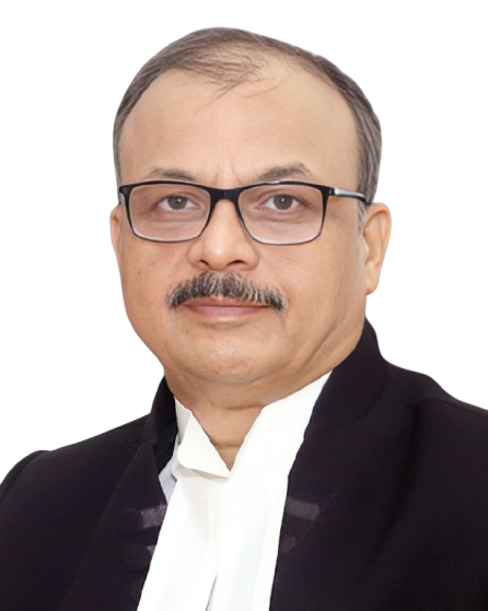 HON'BLE SHRI JUSTICE RAMKUMAR CHOUBEY photo
