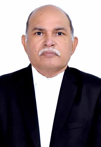 HON'BLE SHRI JUSTICE RATNESH CHANDRA SINGH BISEN photo